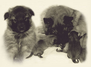 Themenbild-Ambra_Time_goes